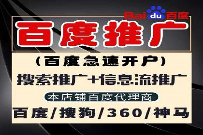 百度推广实战技巧：案例详解